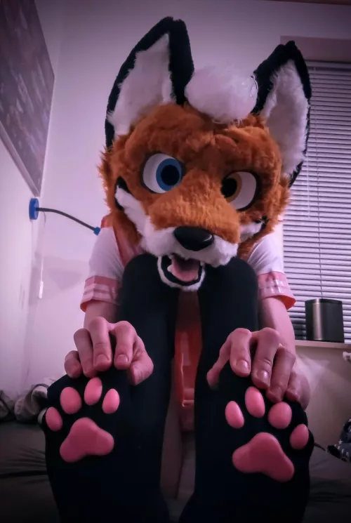 pawbs!!