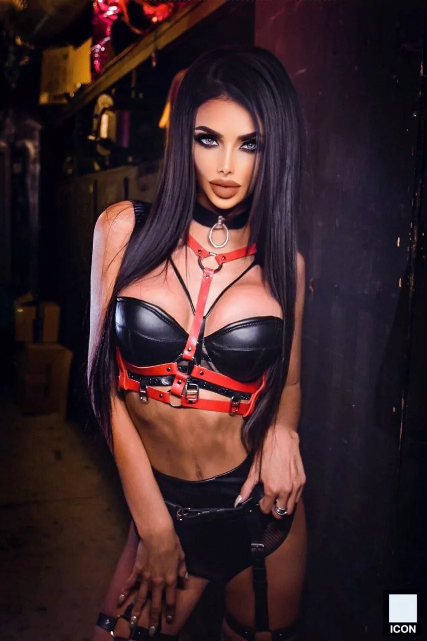 Ready to give you commands [F]