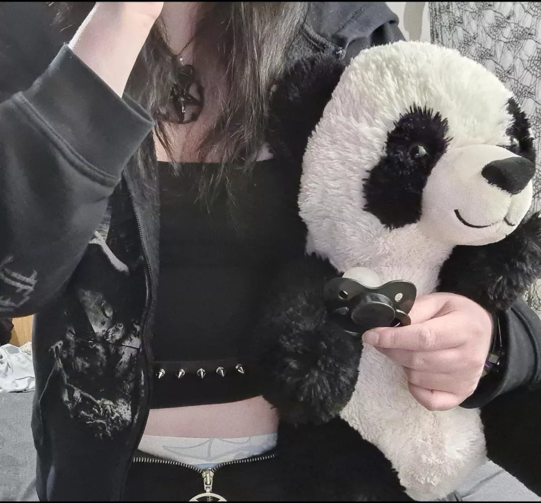 Small peek of my Dinorawrz!