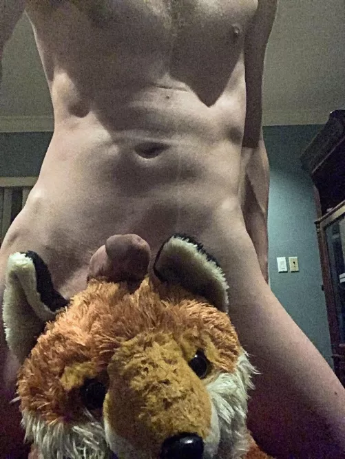 Some more fox plush humping.