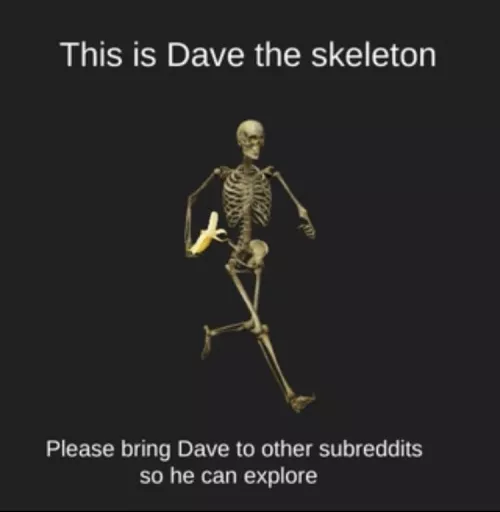 The little dude wants to explore