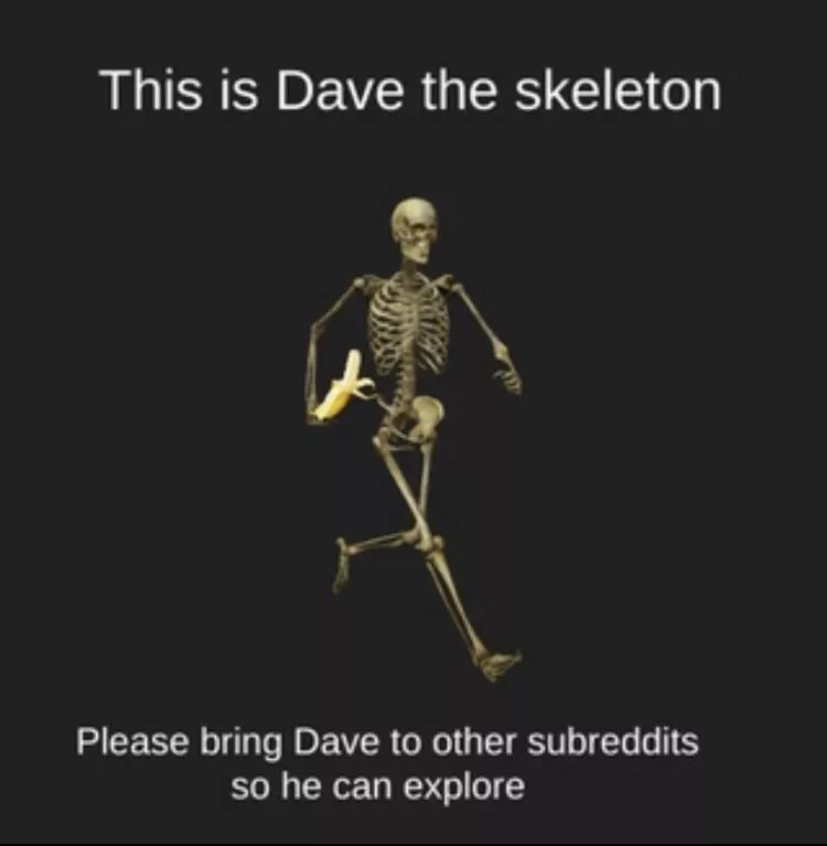 The little dude wants to explore