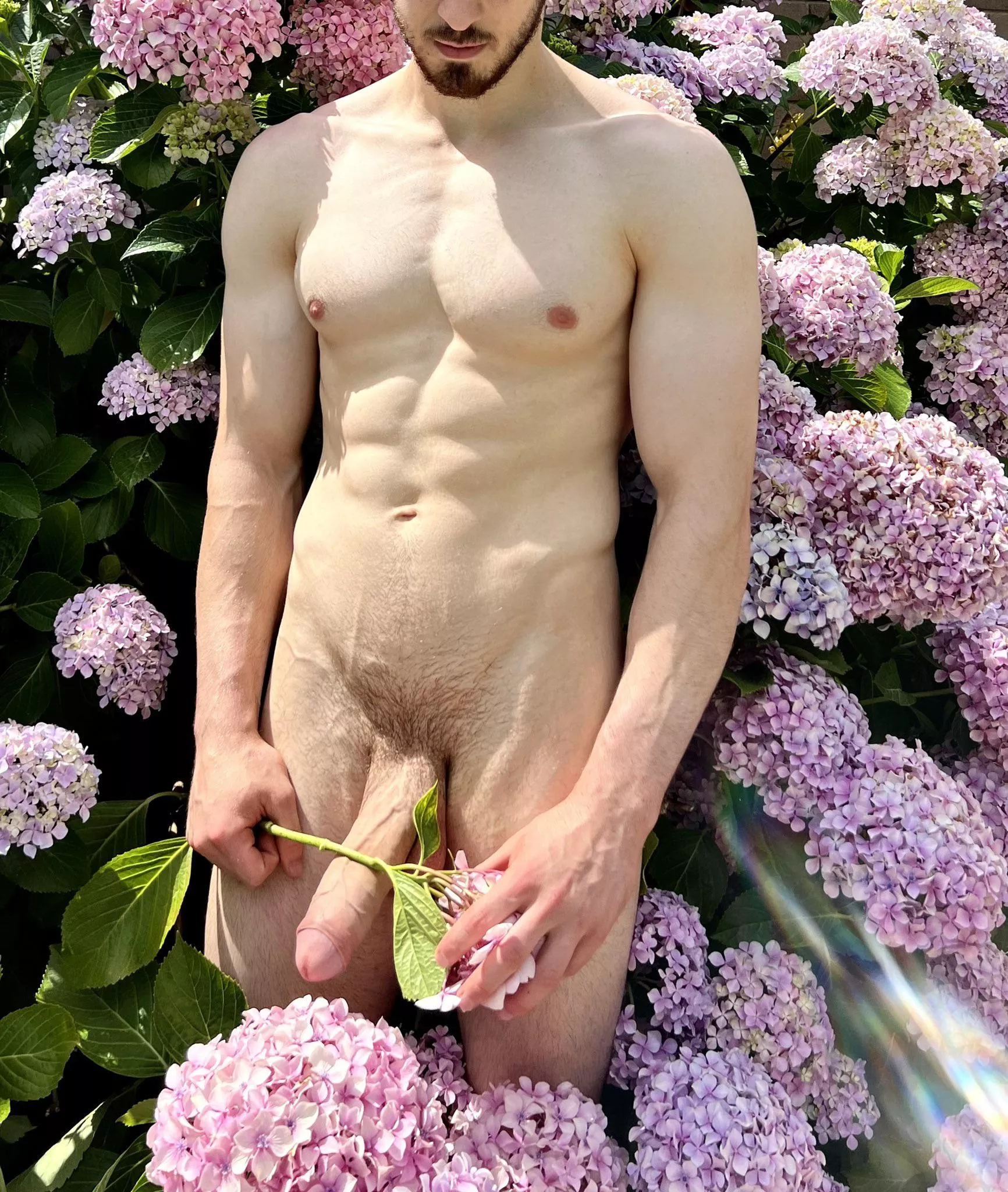 The most romantic way to receive a flower