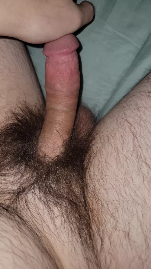 Uncut hair with a cut cock.