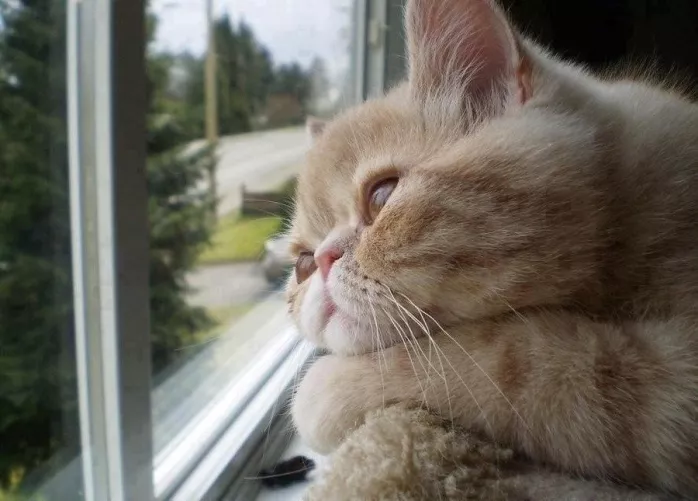 When your domme is busy and you have to wait