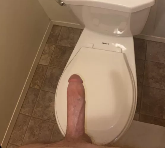 Who wants to suck my cock?