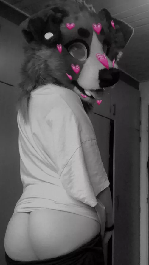 Whoops! Caught me with my pants down!😂❤️ (twitter: @HarperCollieAD)