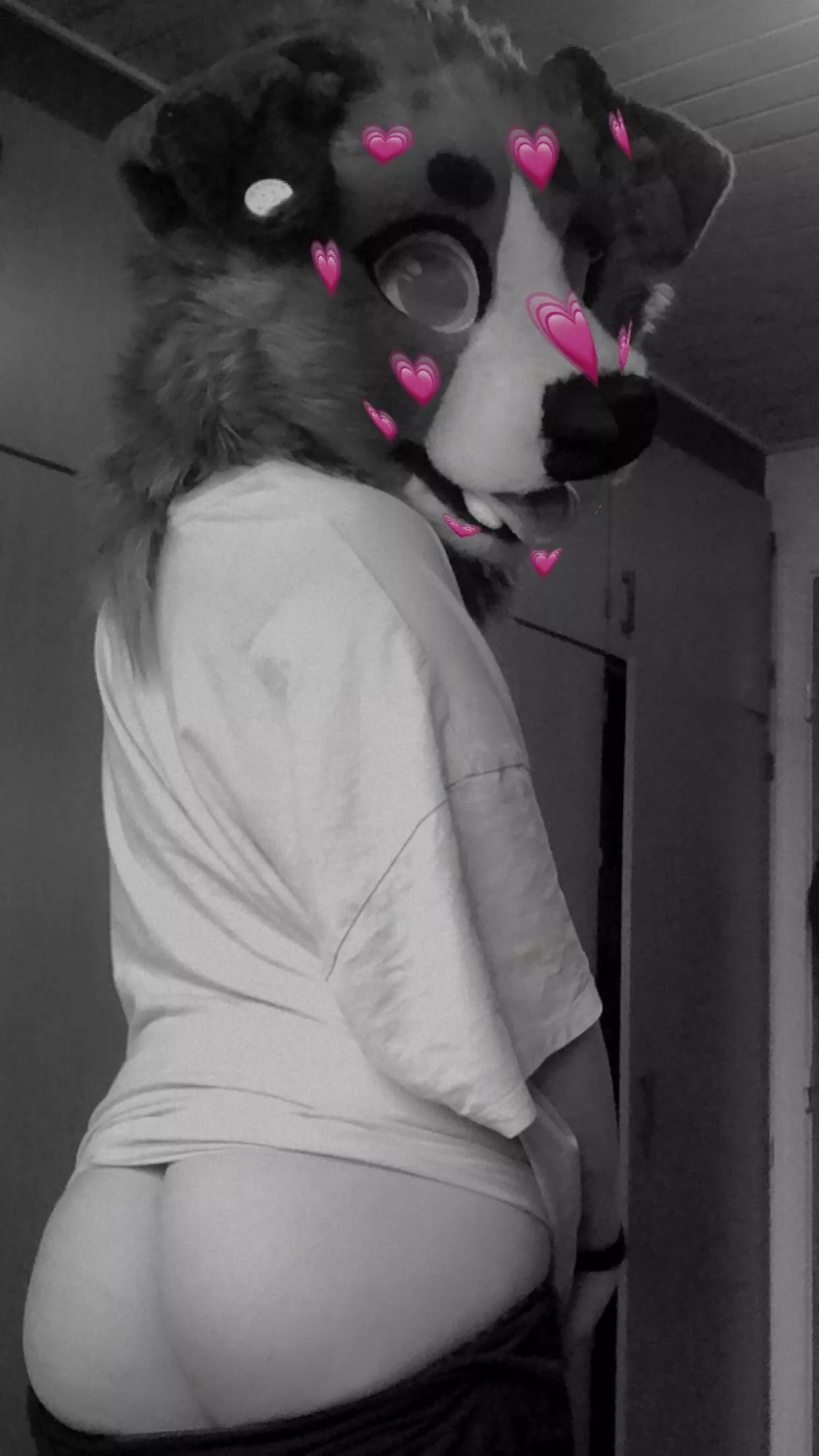 Whoops! Caught me with my pants down!😂❤️ (twitter: @HarperCollieAD)