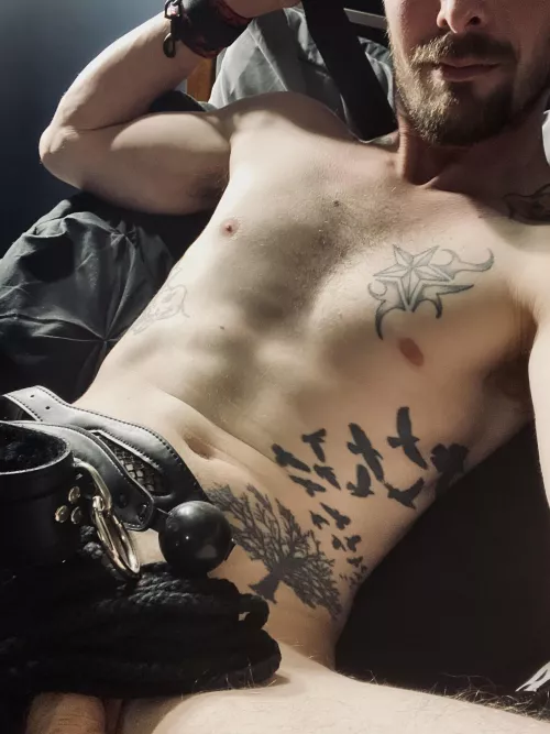 Would you join me for a play date after an evening out?