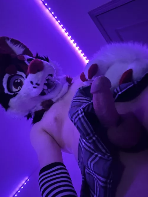 Would you like this view?