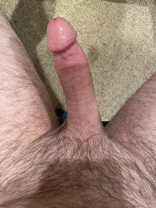 [40] Wanna sit on daddy’s lap, ladies?