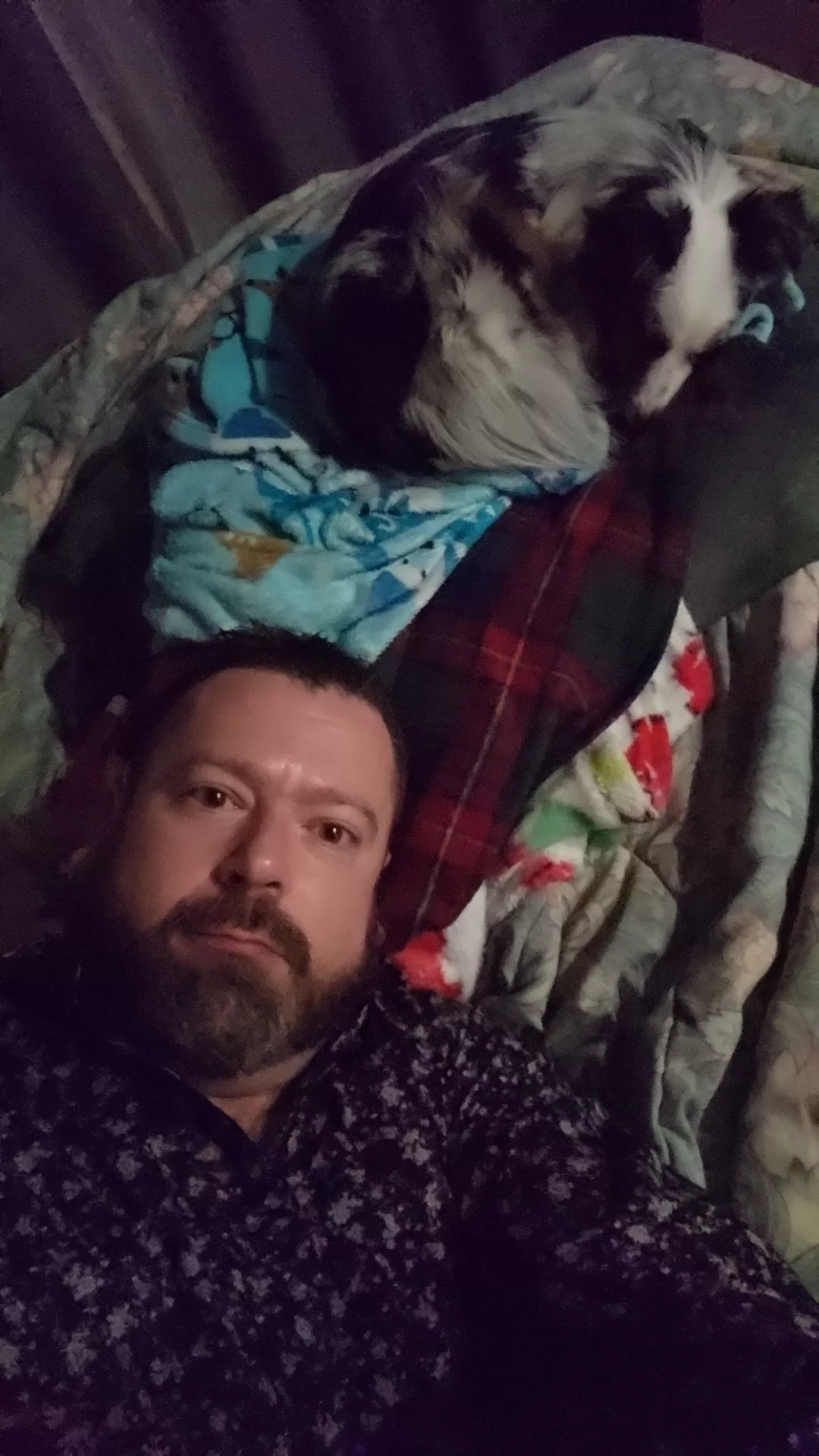 40 year old cuck looking for verbal dom.