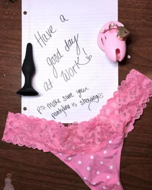 Always tamed to remember my place