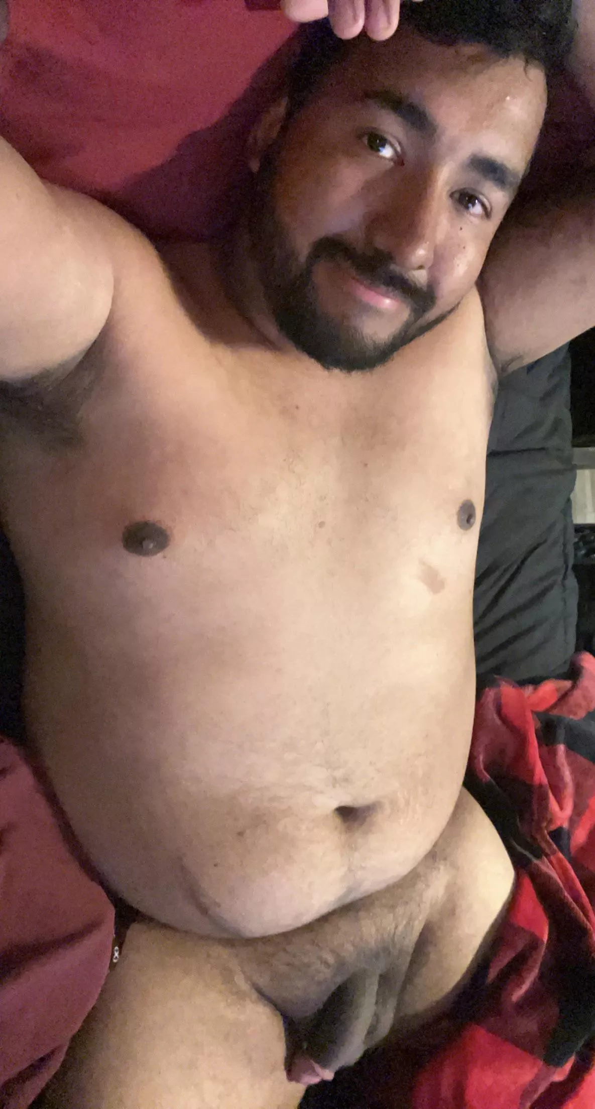 Anybody need a cuddle buddy for this cold weather