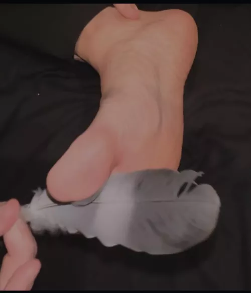 Anyone who says there not feather ticklish try this then