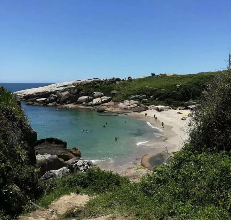 Brasil 🇧🇷❤️