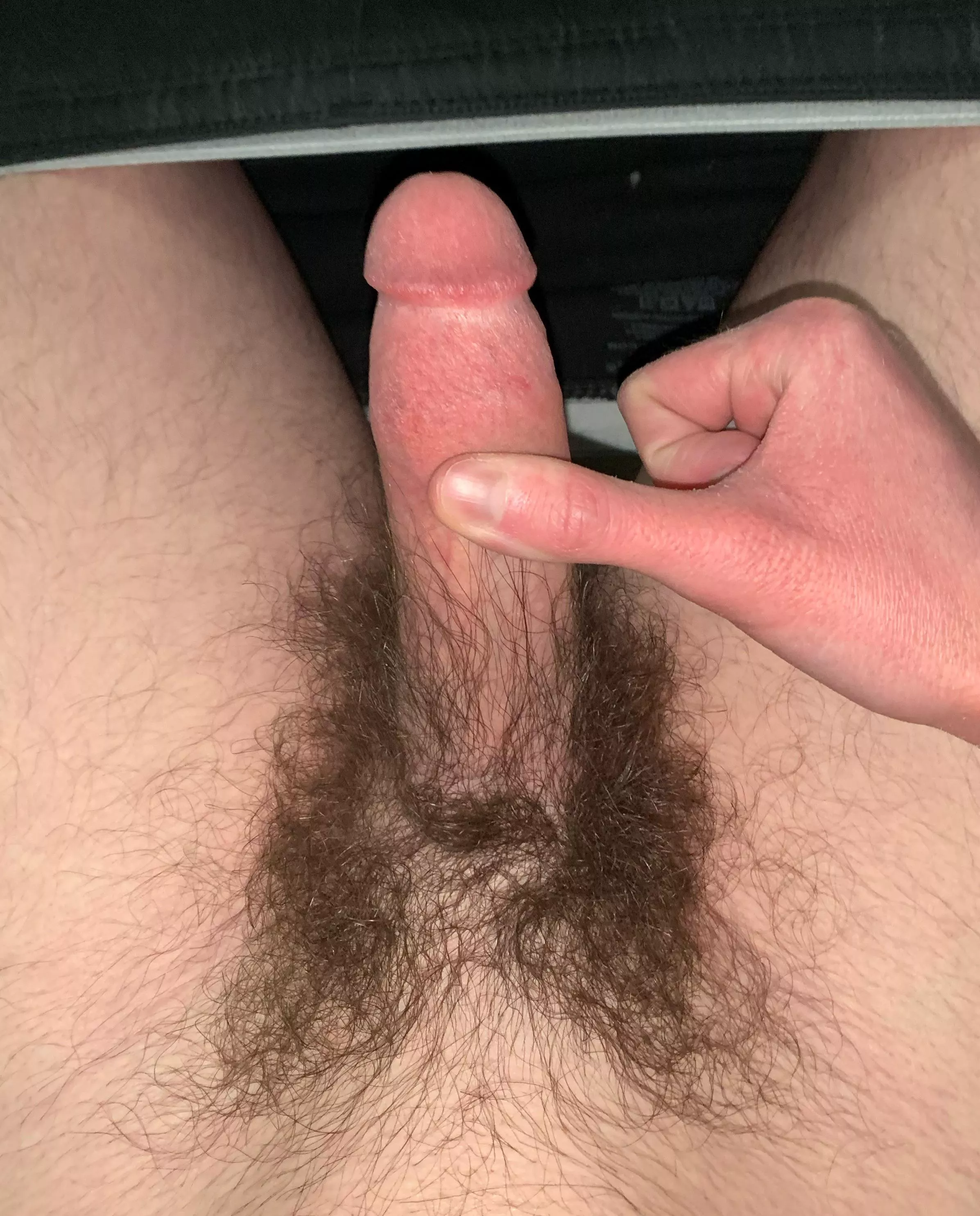 College student bush