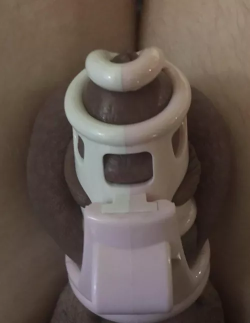 every like = 1 more day locked 💞💞