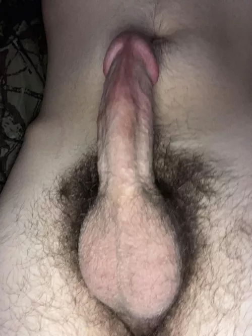 How would y’all rate the bush on my throbbing morning wood?