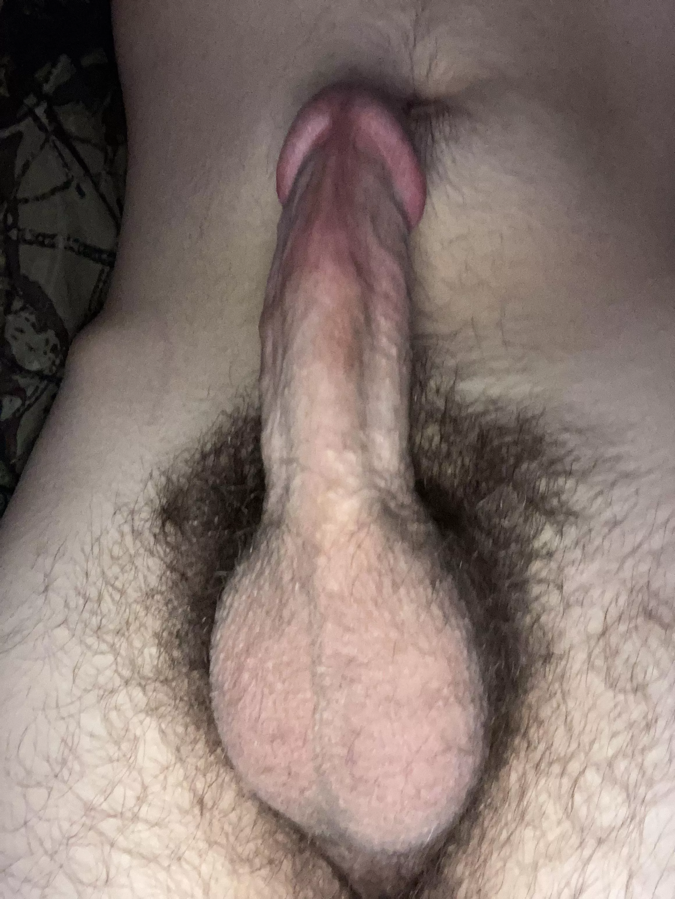 How would y’all rate the bush on my throbbing morning wood?