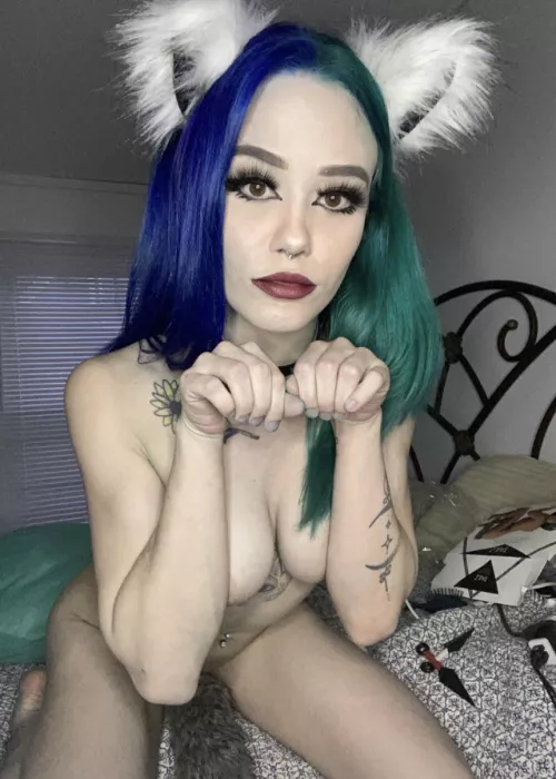 if i beg can i get a treat?