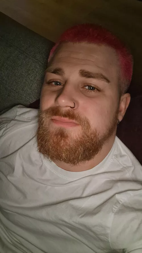 It's been a while so here I am again.