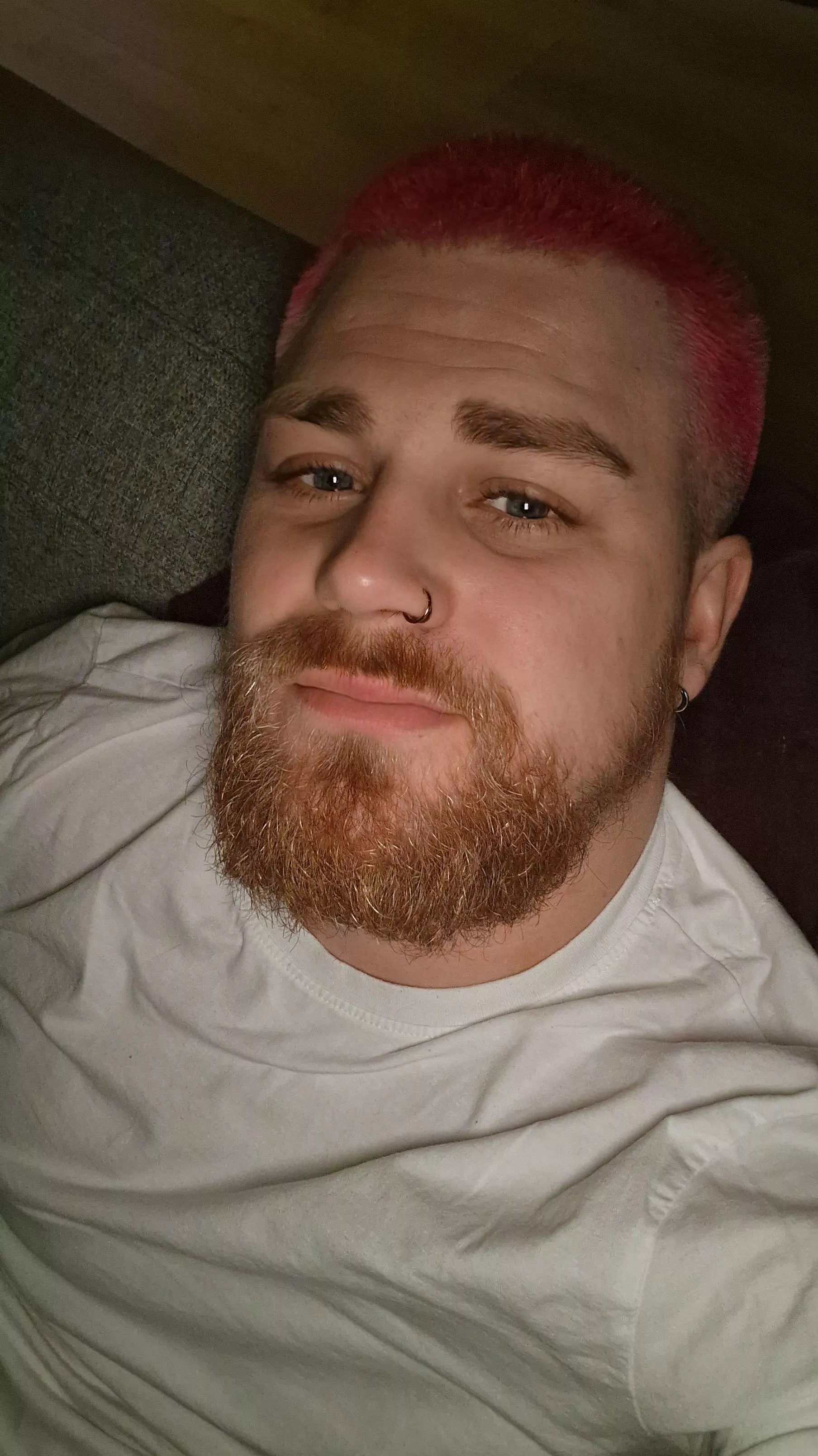 It's been a while so here I am again.