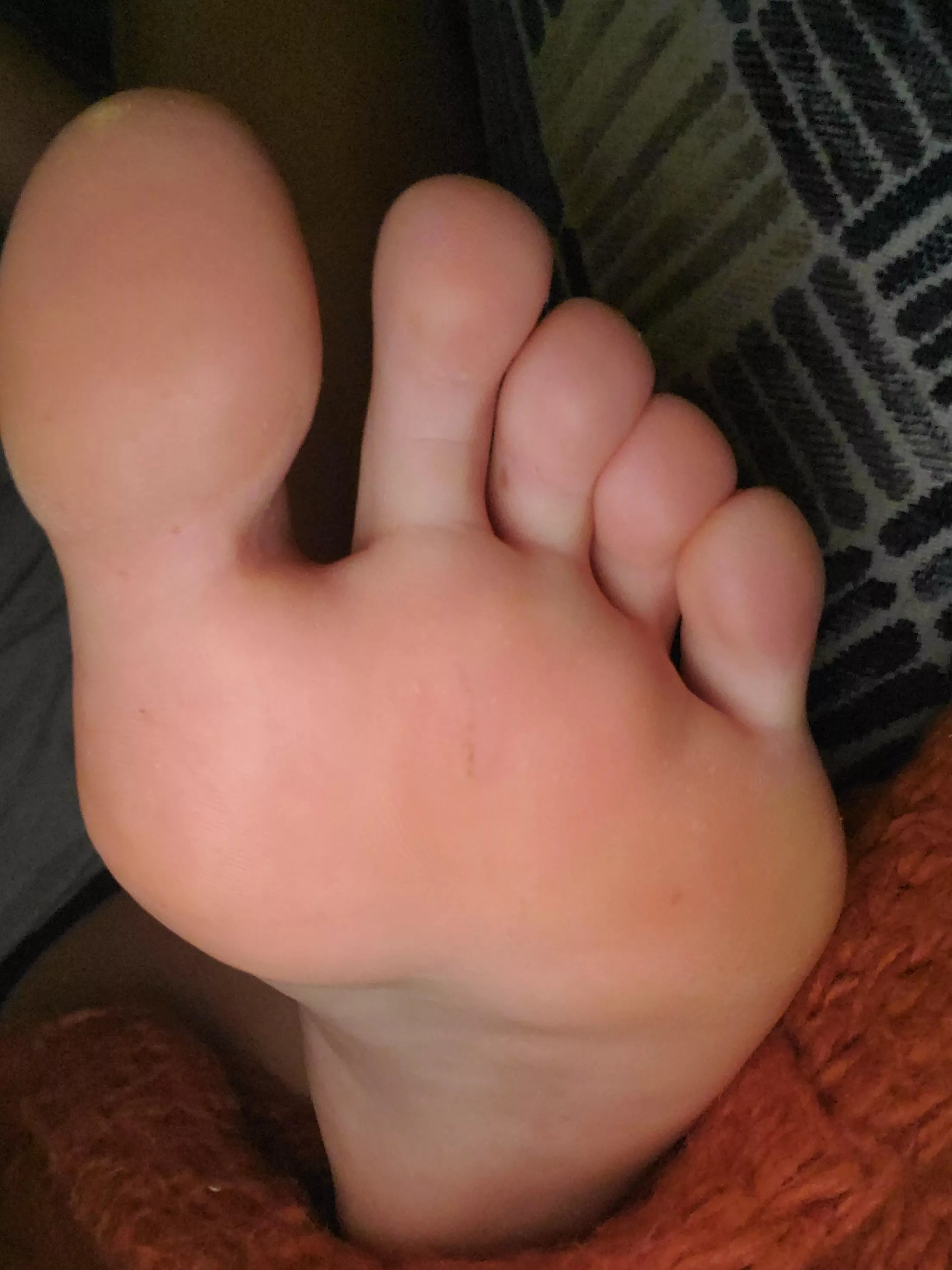 Looking for oinkers 🐷