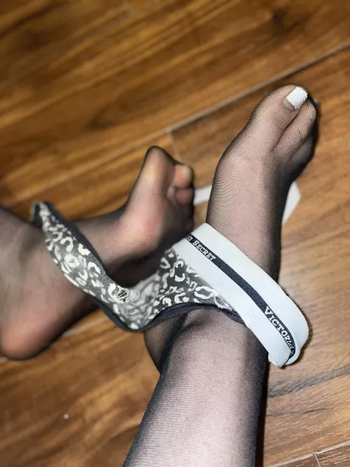Love these nylons .. make my toes look so cute