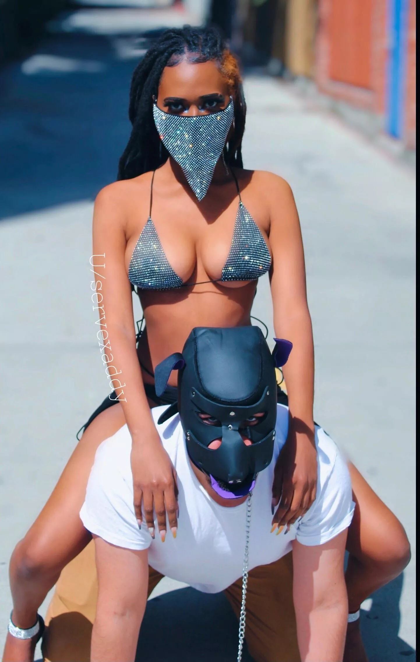 No Bark, All Bite 🐾🦴