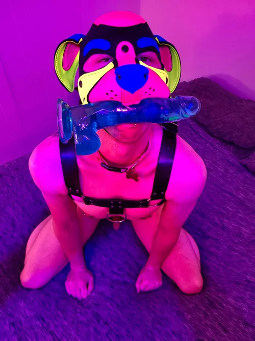 POV: I've brought you my biggest toy like you asked