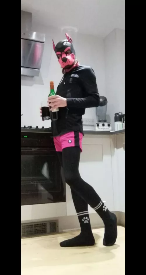 Pup is back in the kitchen 🍷🐾