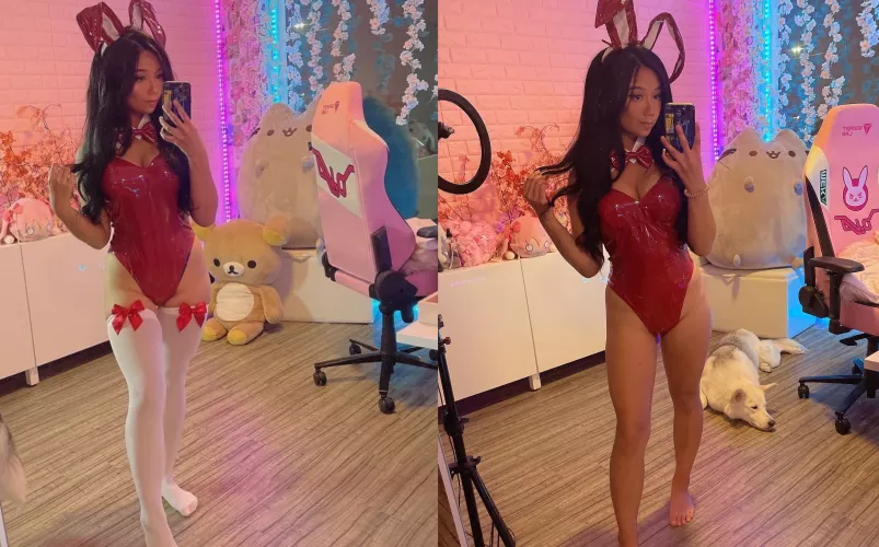 Red Bunny with or without stocking