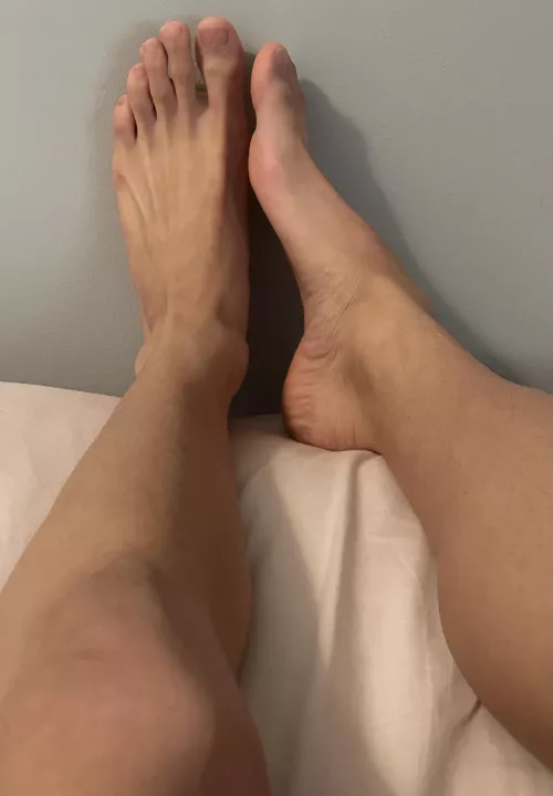 Sniff, lick, suck, rub