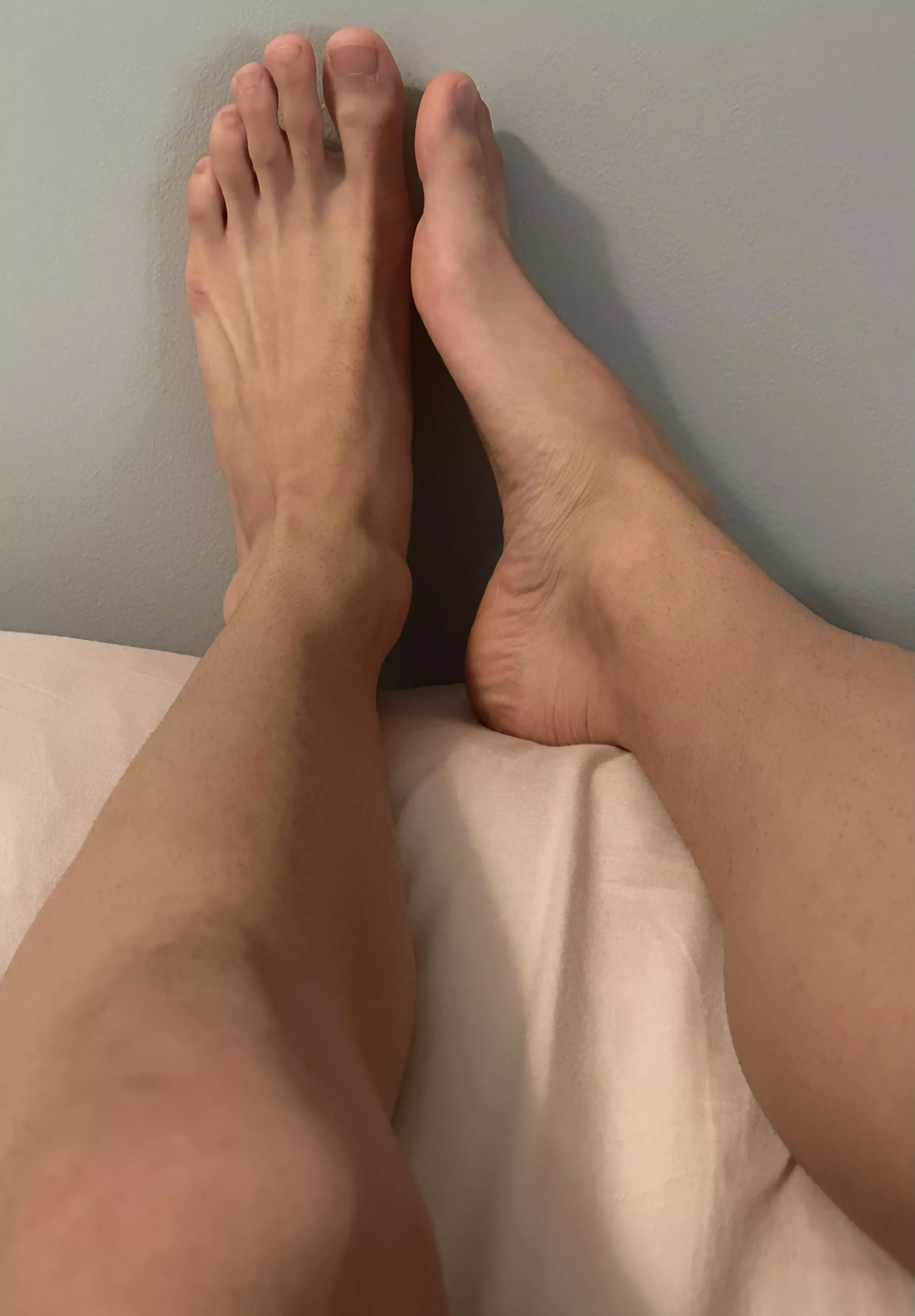 Sniff, lick, suck, rub