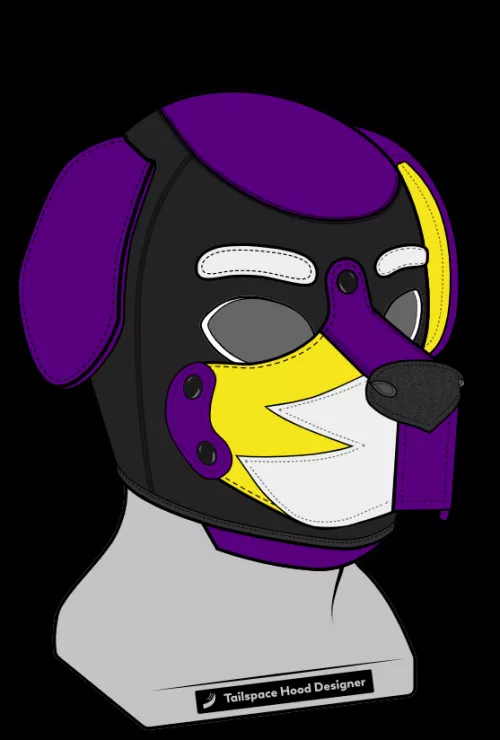 Thoughts/Recommendations on my custom hood?