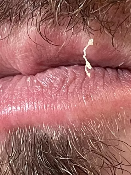 Vermillion Border Plus-Size Surprise