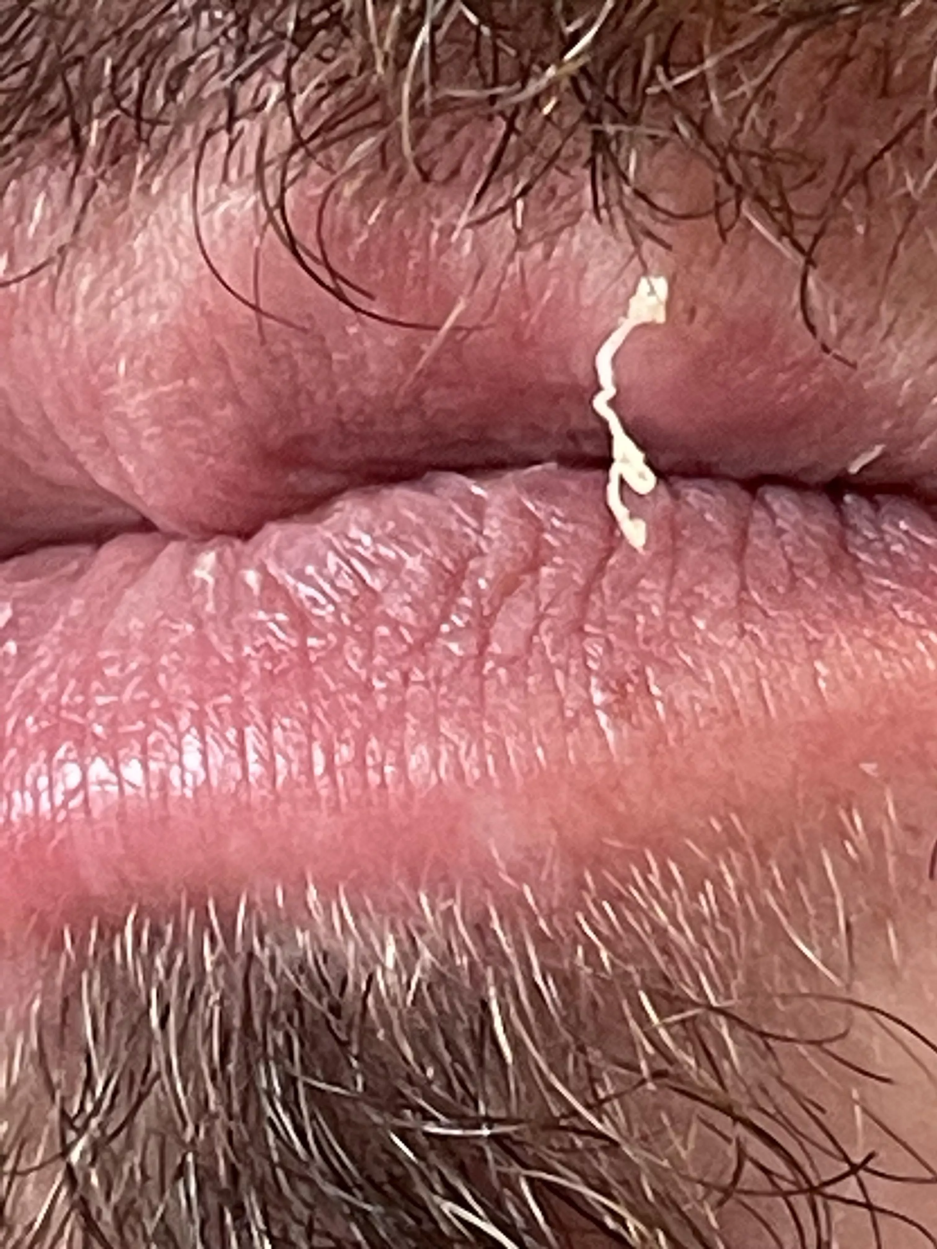 Vermillion Border Plus-Size Surprise