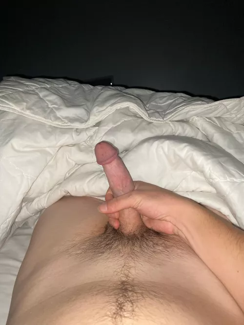What do you guys think of my cock?