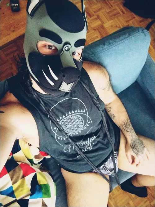 Who wants to get tied up?