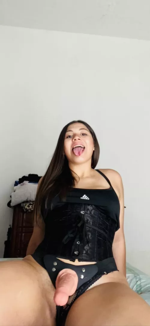 Will you be my bitch tonight?