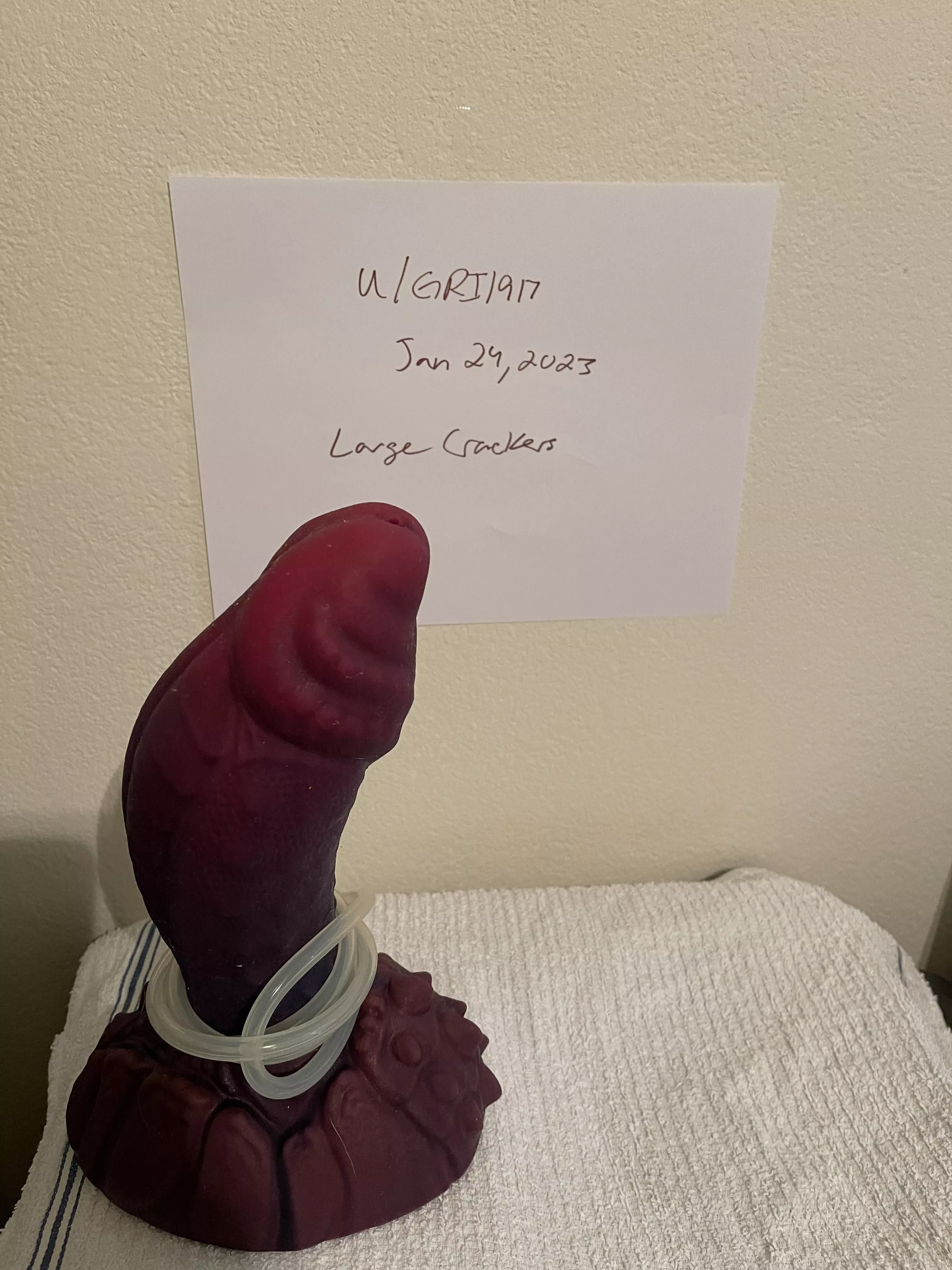 WTS UNUSED LARGE CRACKERS