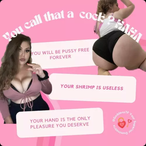 You Actually Call That Useless Shrimp A Cock??? LOL You Will Be Pussy Free FOREVER! 🥺🍤 [domme]