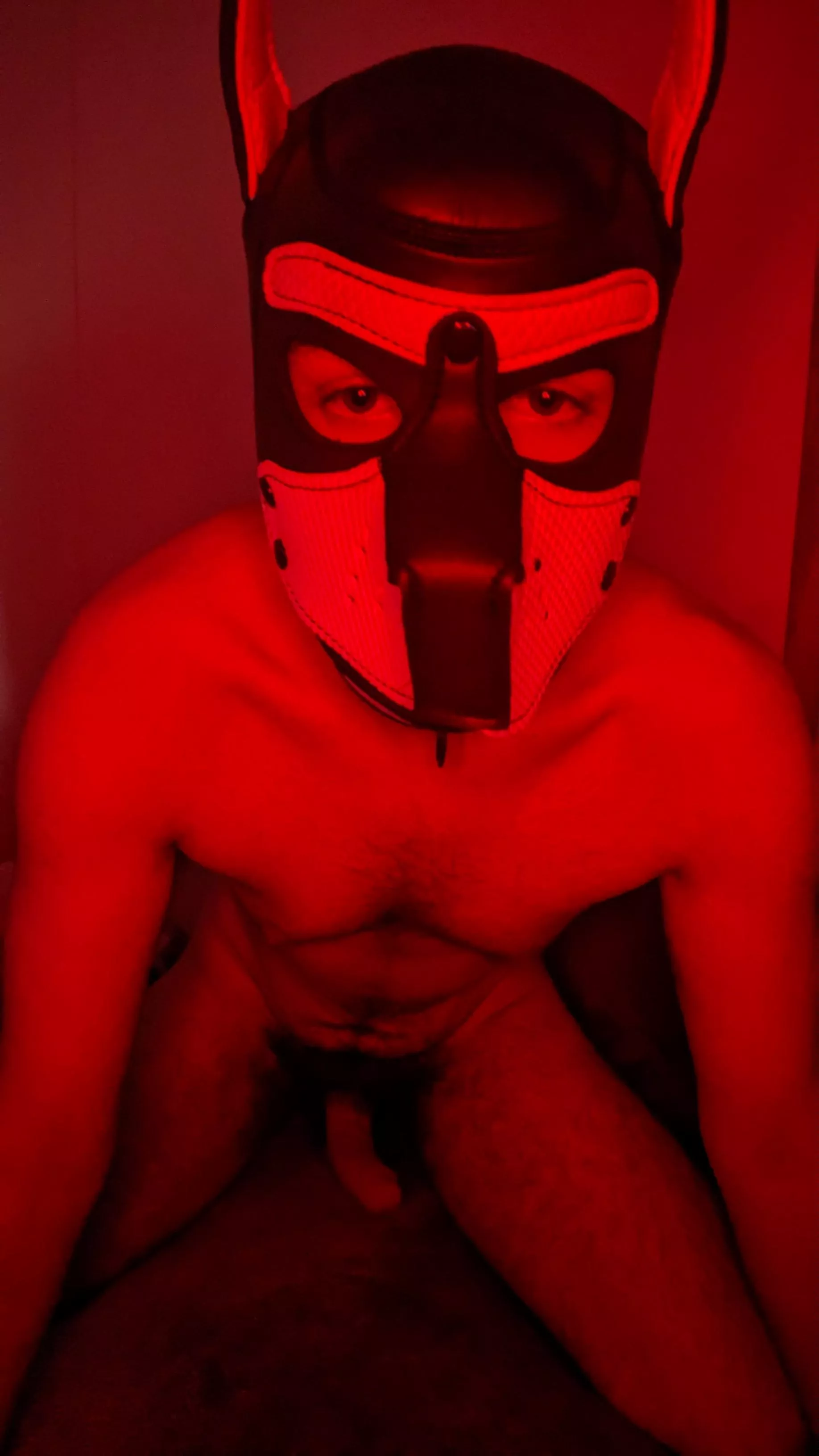 18 Got my first hood today