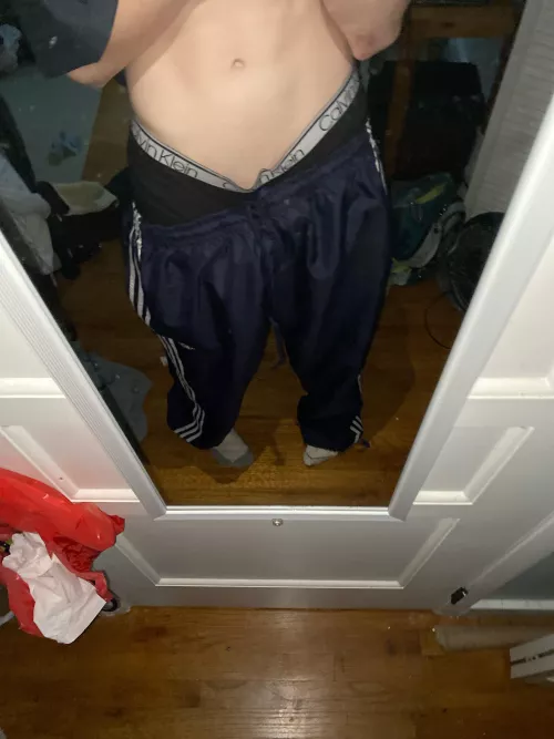 18 - snap: donwillus