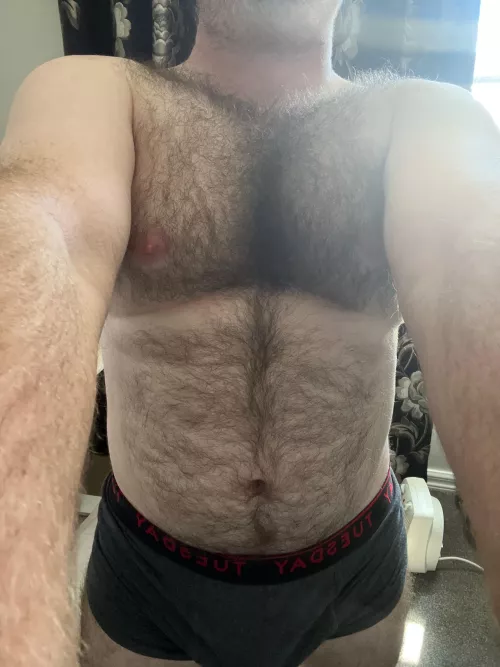 35 uncut hairy dm sc