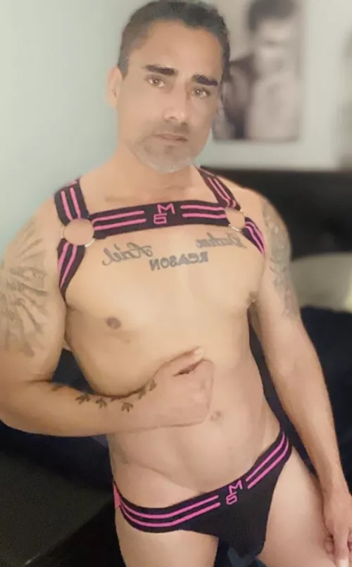 39 Los Angeles Latin snap-rey562