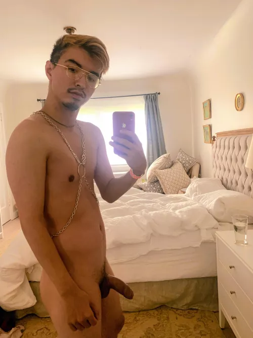 Bought a new harness, thoughts?