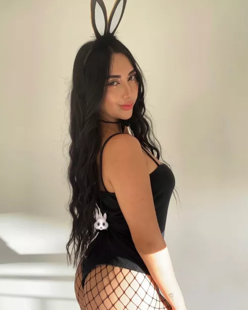 Breed me and take me for walkies