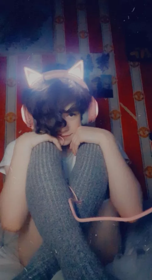 Bright light Kitty night